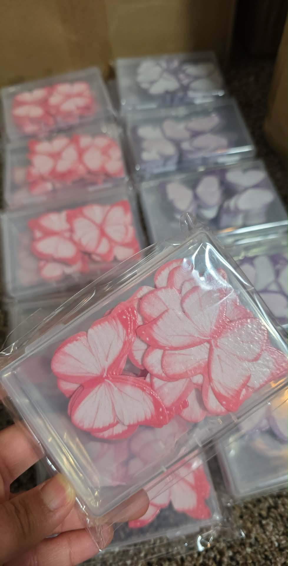 Butterfly rice paper