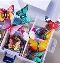 Butterfly rice paper