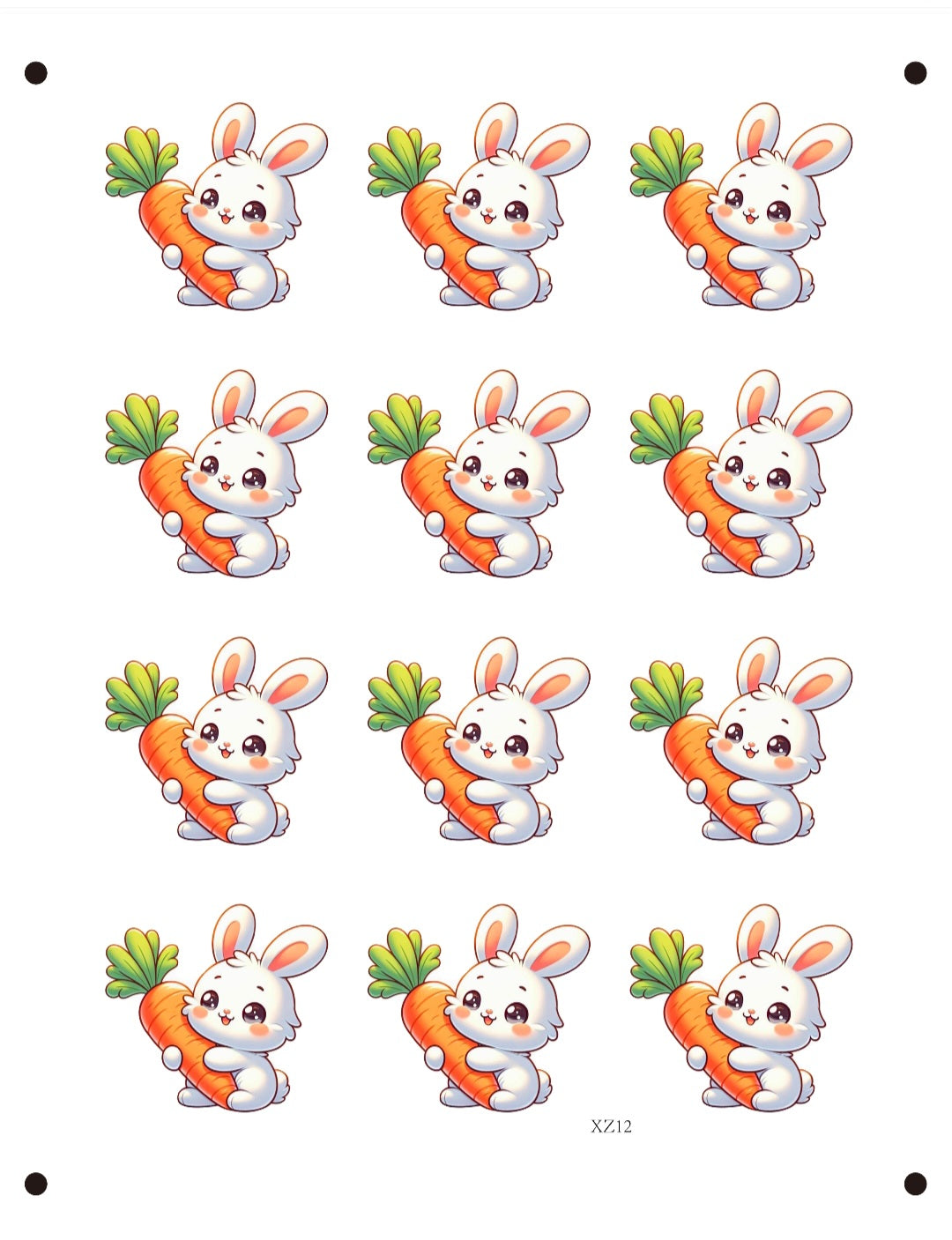 Bunny hold carrot