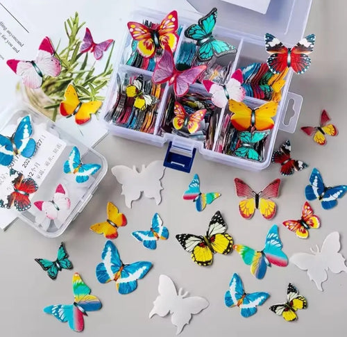 Butterfly rice paper